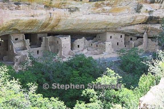 mesa verde spruce tree house 3 graphic
